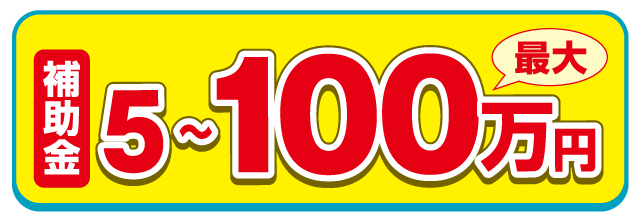 補助金 最大5～100万円
