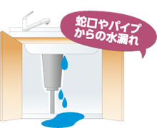 蛇口やパイプからの水漏れ