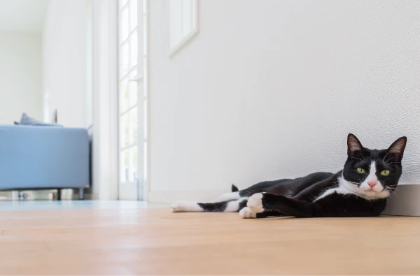 リフォーム後の「安心」も保証