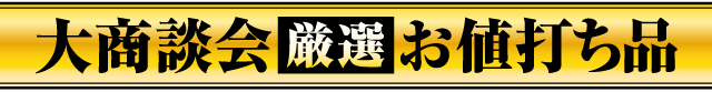 大商談会 厳選 お値打ち品