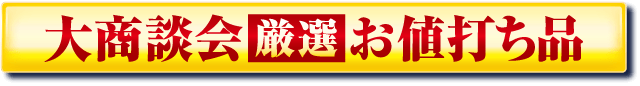 大商談会 厳選 お値打ち品