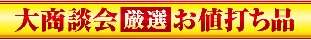 大商談会 厳選 お値打ち品
